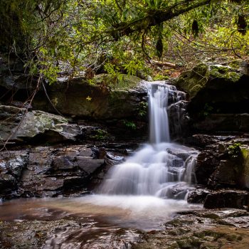 Adjinbilly Rainforest Retreat - The Falls, QLD