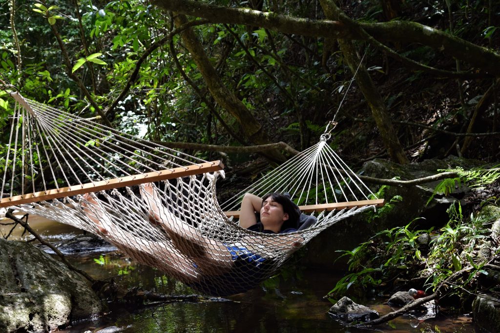 Hammock